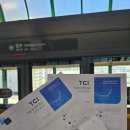 부부 | 성동구 해피팝 심리 상담 센터 예비부부 TCI 검사 후기😀