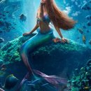 (주)인어스코어 이미지