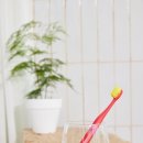 노벨덴탈 이미지