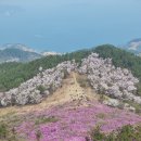 거제도 대금산 이미지