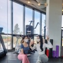 준토스핏 이미지