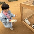 예현농장 이미지