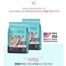 핑크젤리 이미지