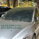 컴인워시수영강변테슬라점