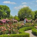 한밭수목원 이미지