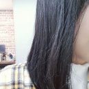 Miscent - 성남시 분당구 정자일로 162 | 노워시트리트먼트 와 향좋은샴푸 테라피션 퍼퓸리페어 찐사용 후기