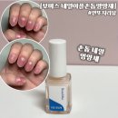 이프로셀 | [보미스 네일이플손톱영양제] 손톱 네일영양제 추천 손톱보호 손톱케어 후