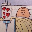 디뮤지엄(대림미술관 분관) | 디뮤지엄 취향가옥2 전시 후기 정보 - 공간에 담긴 예술