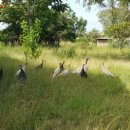 봉재농장 이미지