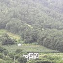 홍제원 | 봉화 가성비좋은 숙소 추천 ! 홍제원 농장 이용후기