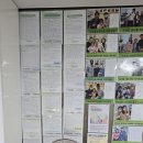 양박사 | 강남심리상담센터 양박사님을 만난 건 행운