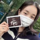 용용이네 이미지