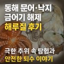 동해낙지 | 동해 문어·낙지 금어기 해제 해루질 후기 │ 극한 추위 속 탐험과 안전한 퇴수 이야기