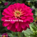 Have A Good Day~~♥ 이미지