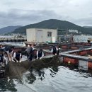 한국직장인교육지원센터