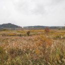 영산강뚝방길 이미지