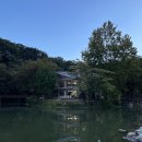 포레드노드 이미지