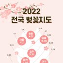 부귀리 마을회관 | [2022년 벚꽃 개화시기] 지역별 개화시기와 명소·축제 '한눈에'