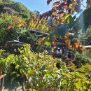 산속비버스 이미지