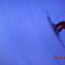 천번공인중개사사무소 이미지