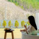 강릉 오후세시 이미지