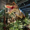 2018 광명동굴 설 명절 복 한마당 이미지