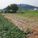 남해-313 이미지