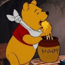 태광체육관 이미지