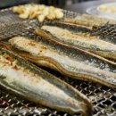 한강민물 이미지