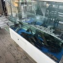 쏘갈매운탕 이미지