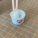 숲의 이야기를 들어볼래? 이미지