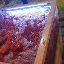 팔봉수도공원 화장실 2 이미지