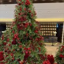 웨스틴힐 | 웨딩베뉴 계약후기 • 웨스틴조선 부산 스몰웨딩 로즈홀 견적