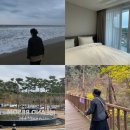 씨유태안안면대로점 | [ 아일랜드 리솜 ] 태안 안면도 리조트 | 안면도 자연휴양림 | 콘도형 24평 후기 🌅
