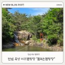 333-1-000005 | 곡성 꿈꾸는 캠핑장 ㅣ 전남 아이와 가기좋은 키즈캠핑장 명당 자리 333 후기