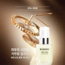 로덱스화장품 이미지