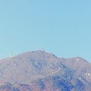 용문사 이미지