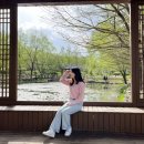 (주)세다온라인 이미지