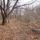 최정산 누리길 이미지