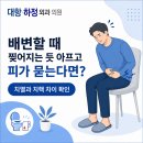 대항하정외과의원 | 평촌항문외과, 배변할 때 찢어지는 듯 아프고 피가 묻는다면? 치열과 치핵 차이
