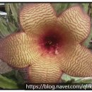 해빛로29 이미지