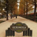 담양여행