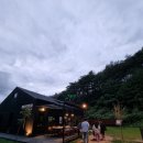 벙커475-1