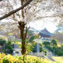 거북이마을 이미지