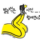 캠프케이시 버거앤비어