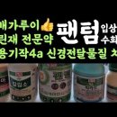 뽕나무 병해충방제 방법_균핵병, 뽕나무 이 이미지