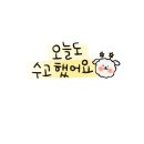 무봤나짬뽕 이미지
