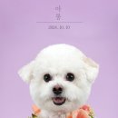 진관-044 네이버블로그