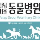 야탑서울동물병원 이미지