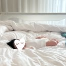 샌드텍스트 | [여행] 5개월 아기랑 강릉 여행 숙소 '라카이샌드파인' 내돈내산 후기 (feat. 수영장 이용꿀팁)